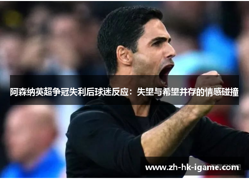 阿森纳英超争冠失利后球迷反应:失望与希望并存的情感碰撞 阿森纳英超争冠失利后球迷反应:失望与希望并存的情感碰撞