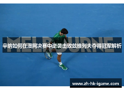 辛纳如何在澳网决赛中逆袭击败兹维列夫夺得冠军解析